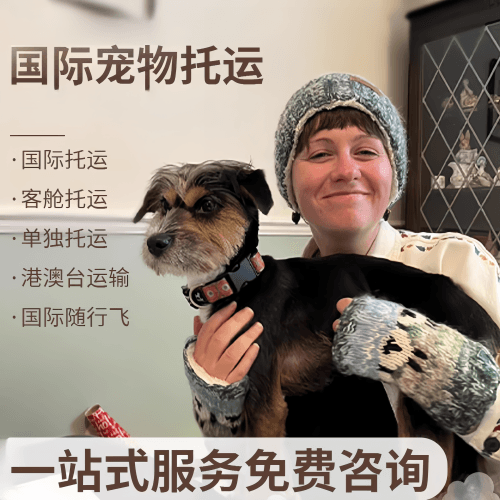 凉山州国际宠物托运到阿根廷宠物入境规定和要