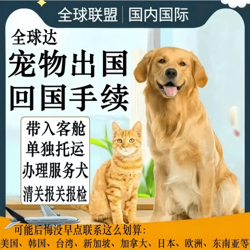 凉山州宠物托运到柬埔寨宠物入境规定和要求