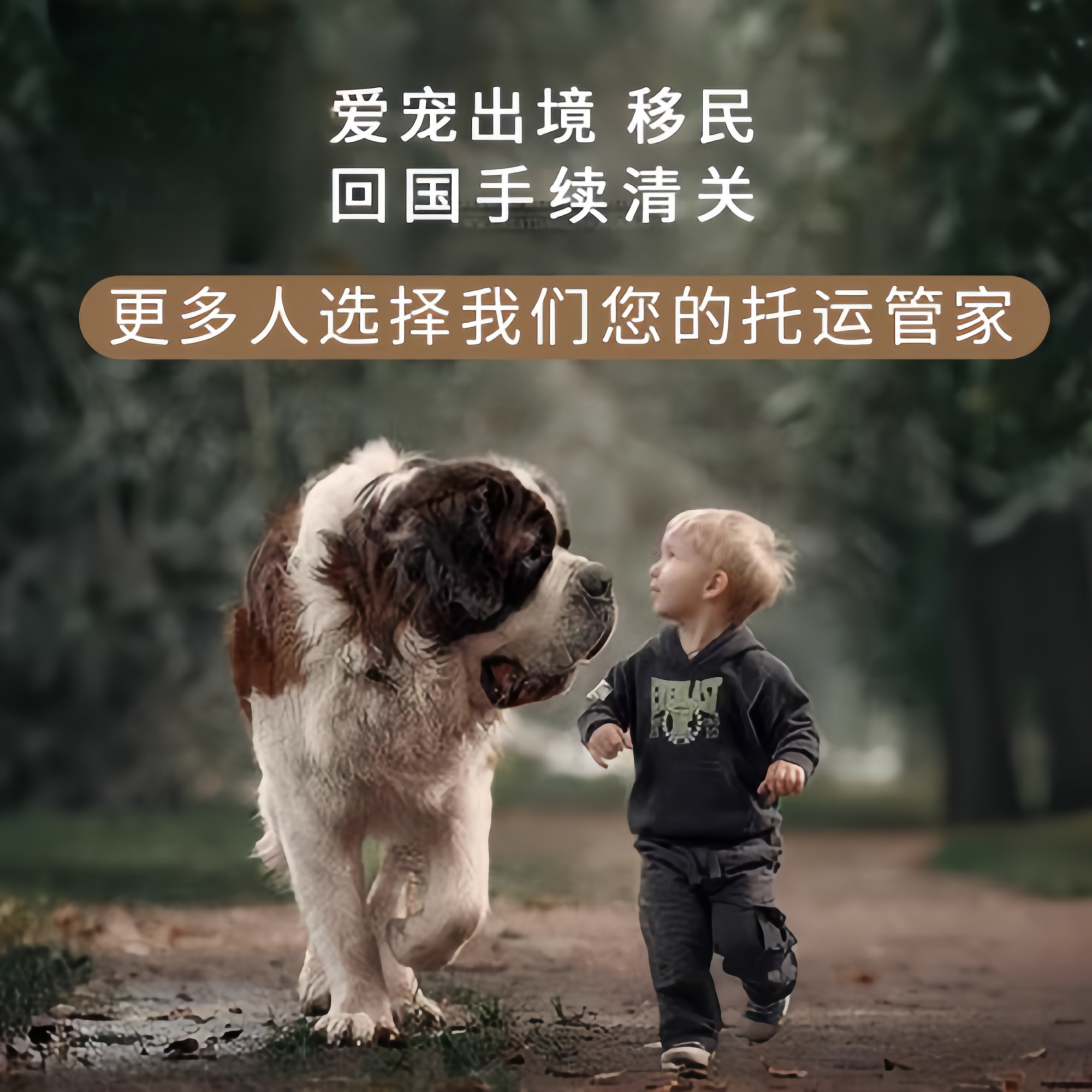 满财凉山州宠物全球达宠物托运在遵守入境目的地政策的条件