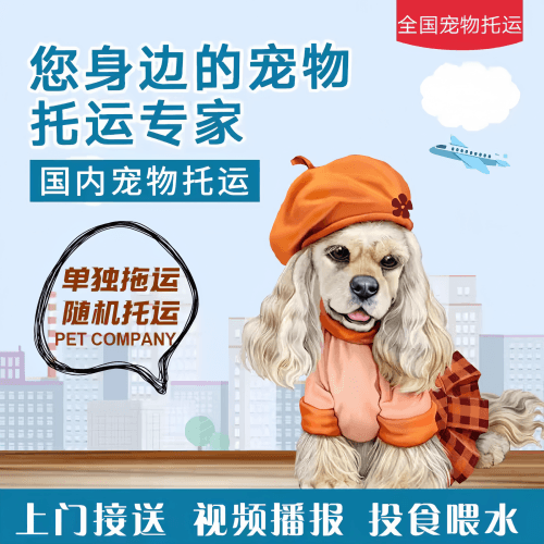 满财凉山州宠物全球达宠物托运作为专业的宠物运输代理机构